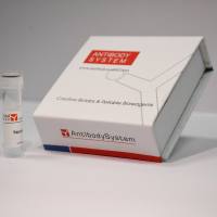 重组HSV-1/HHV-1 gE蛋白 HSV-1/HHV-1 gE Protein, C-His