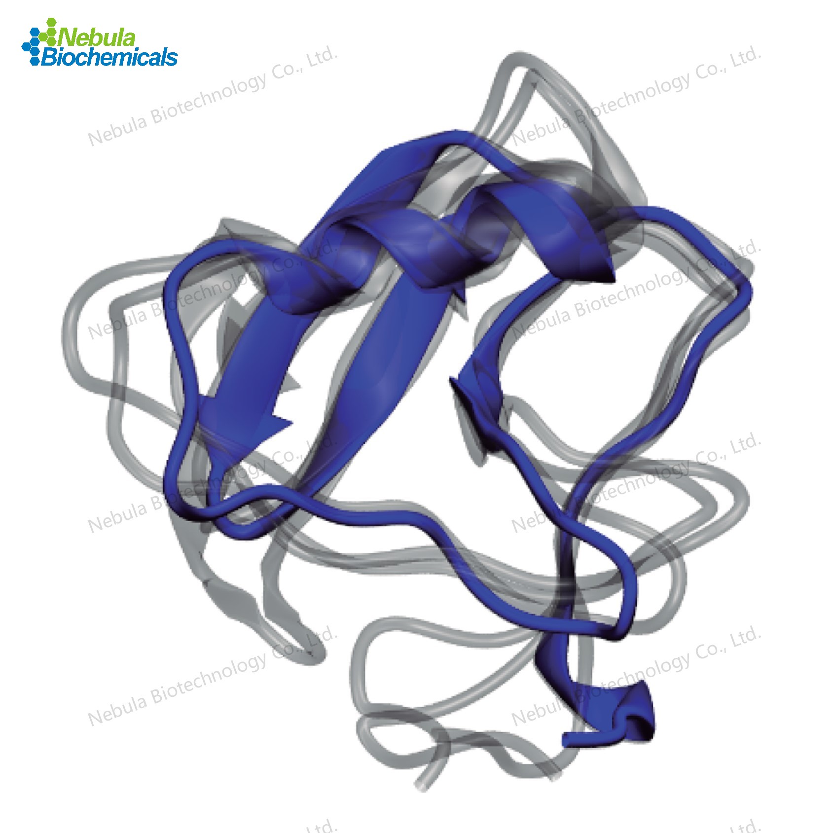 Tf2 scorpion toxin | 离子通道相关多肽