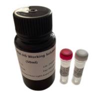 1x 高灵敏度 dsDNA 定量试剂盒