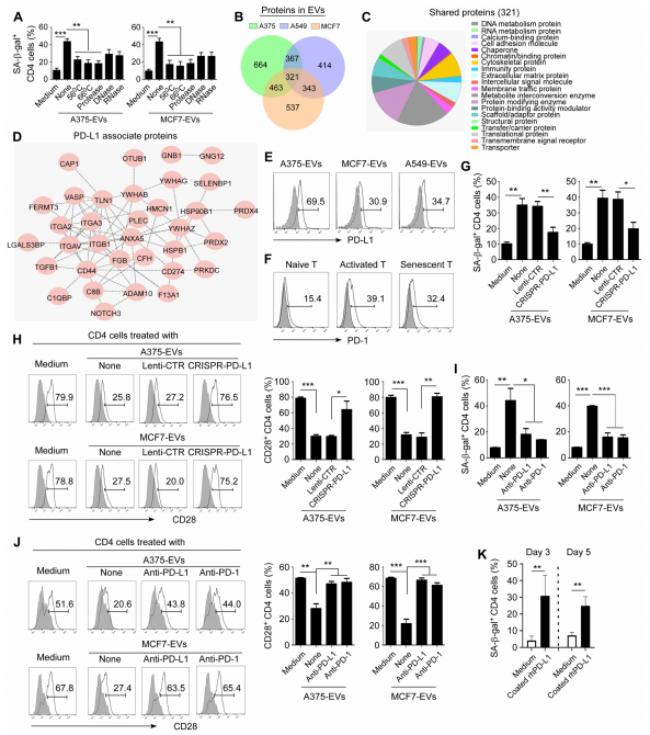 外泌体技术服务