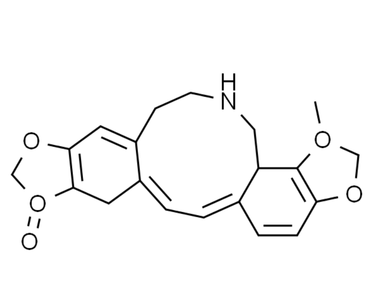 屏幕截图 2025-03-21 092817.png