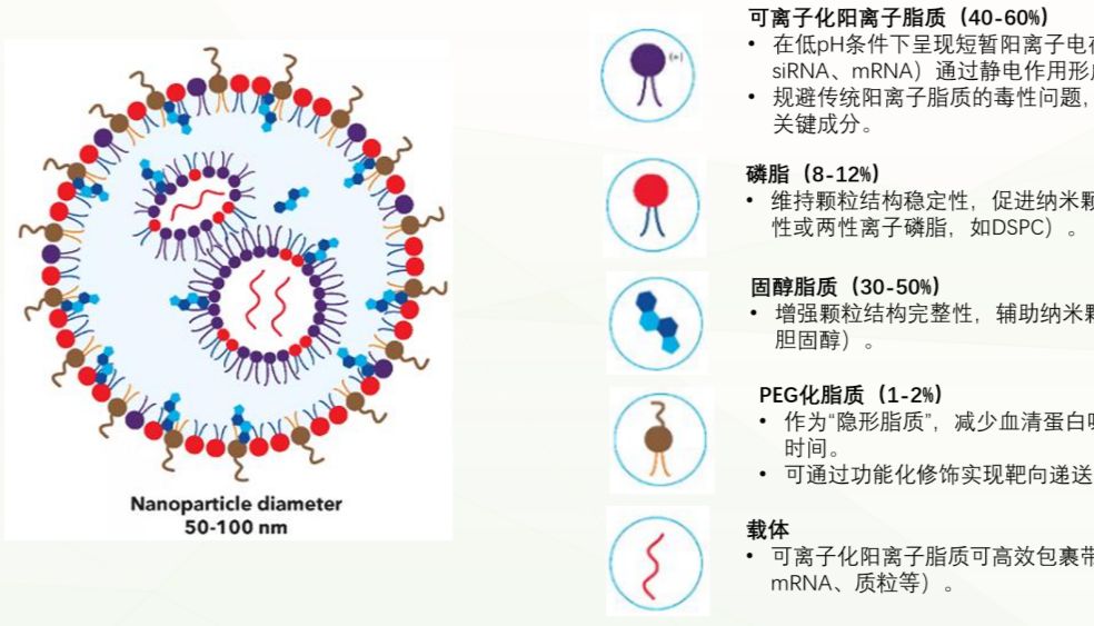 LNP递送mRNA，转染So easy！