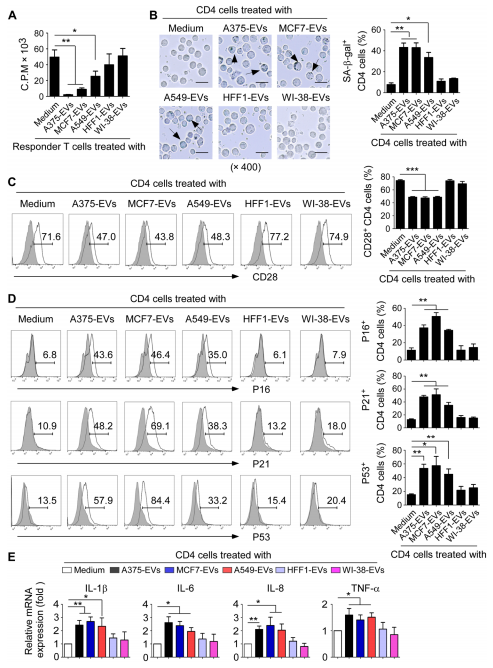 外泌体技术服务