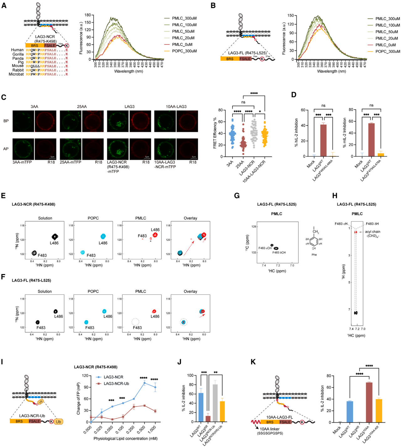 Cell | 南模生物助力揭示免疫检查点LAG3新机制！