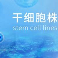 人牙髓间充质干细胞外泌体_200ml