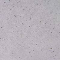 ID8-OVA小鼠卵巢上皮癌细胞-OVA转染(种属鉴定)