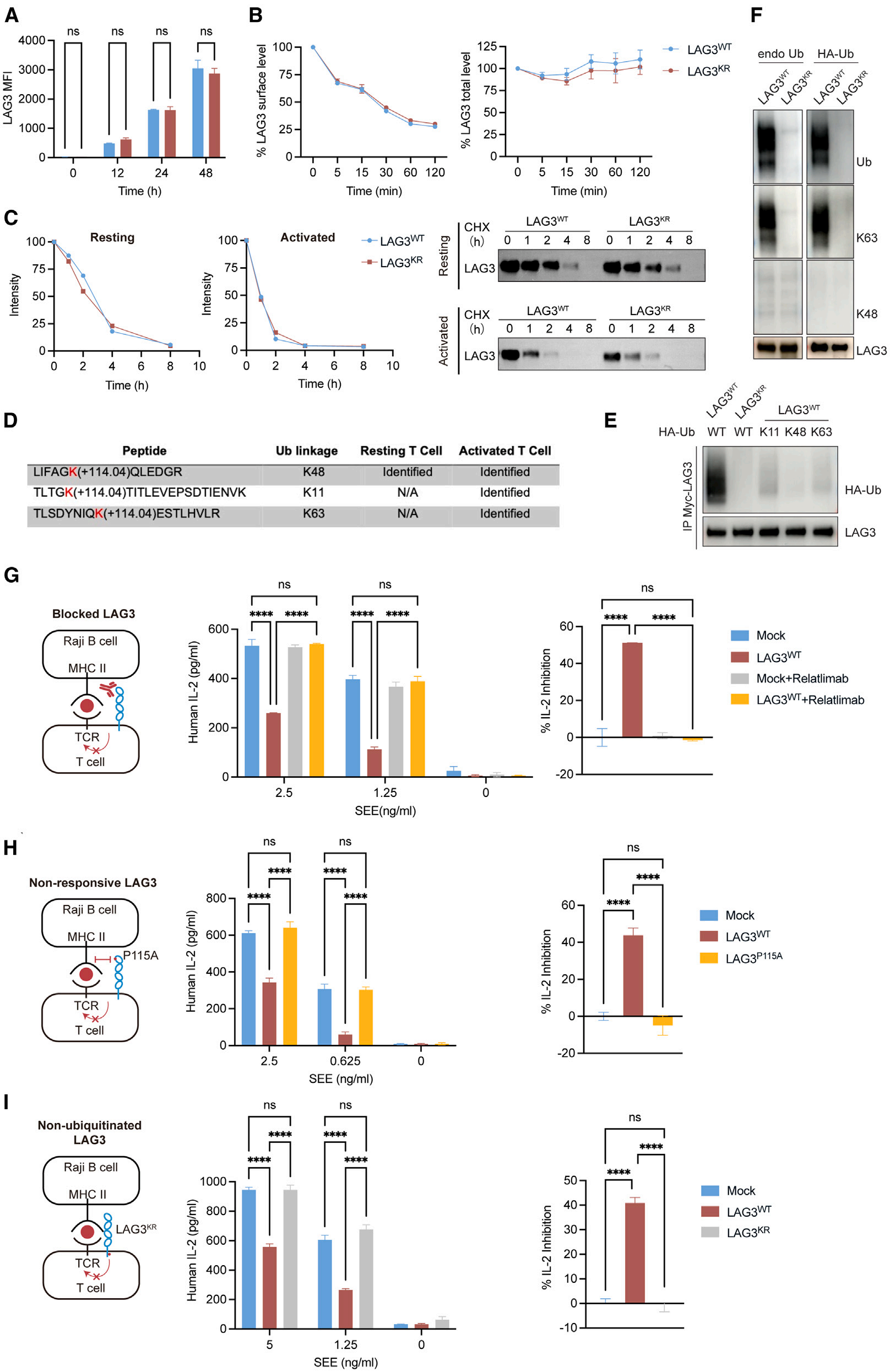 Cell | 南模生物助力揭示免疫检查点LAG3新机制！