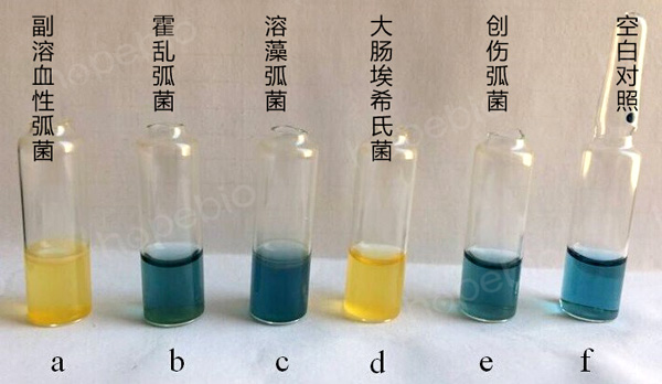 3%氯化钠阿拉伯糖原理和使用方法