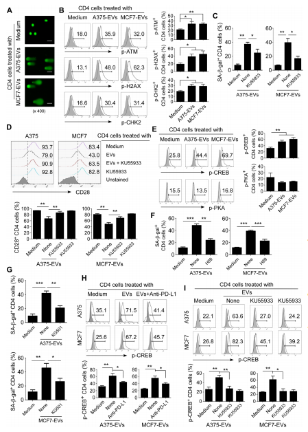 外泌体技术服务