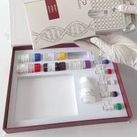 Turkey Hemorrhagic Enteritis Virus(TuHEV)火鸡出血性肠炎病毒探针法荧光定量PCR试剂盒