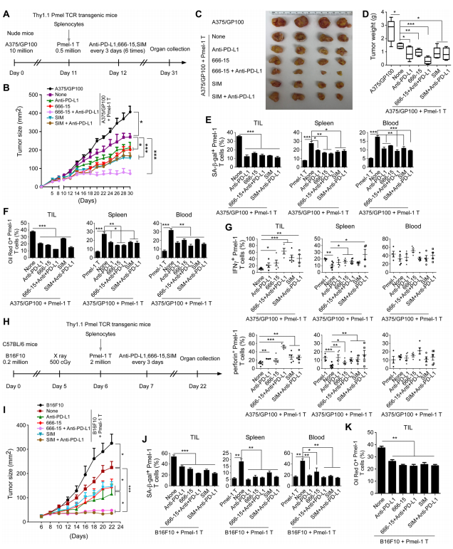 外泌体技术服务