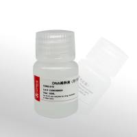 CellWorld  DNA稀释液(用于荧光定量) C2502-010 10ml 