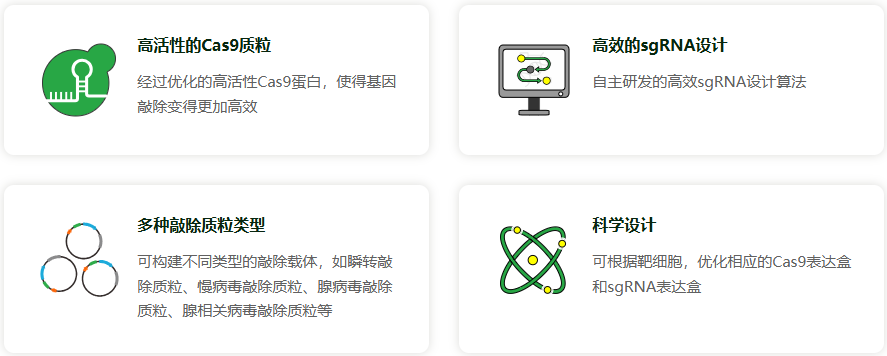 CRISPR基因敲除载体构建服务(敲除慢病毒载体/敲除腺病毒