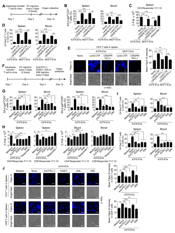 外泌体技术服务