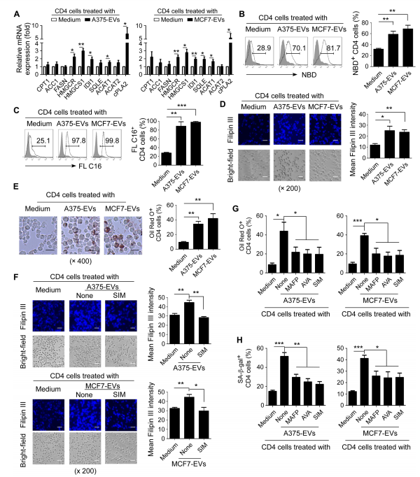 外泌体技术服务