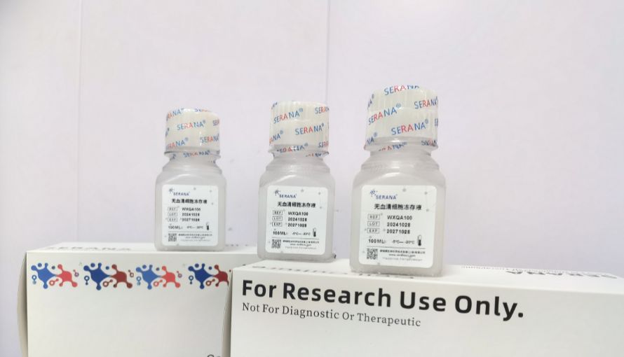 细胞培养那点事 | SH-SY5Y细胞培养必读