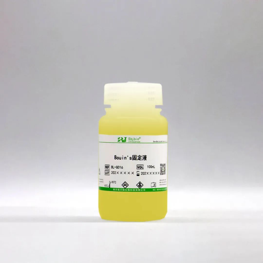 病理染色实验—组织固定注意事项