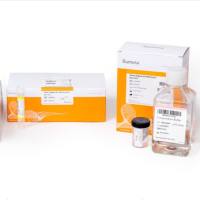 因美纳 MS-102-2001 MiSeq Reagent Kit v2, 50‐cycles