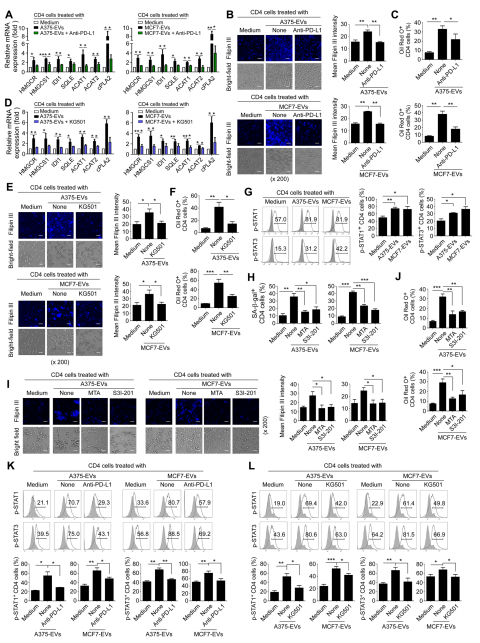 外泌体技术服务