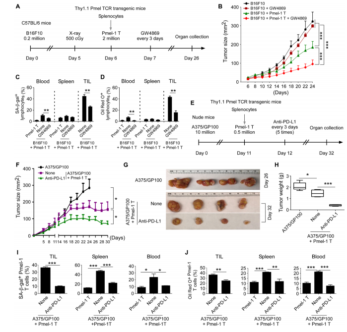 外泌体技术服务