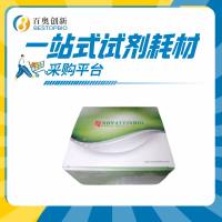 重组dCas9 (D10A & H840A)酶