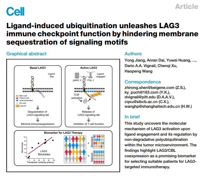 Cell | 南模生物助力揭示免疫检查点LAG3新机制！