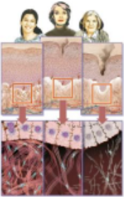 医美机构疯狂种草的生长因子，是美丽智商税吗？