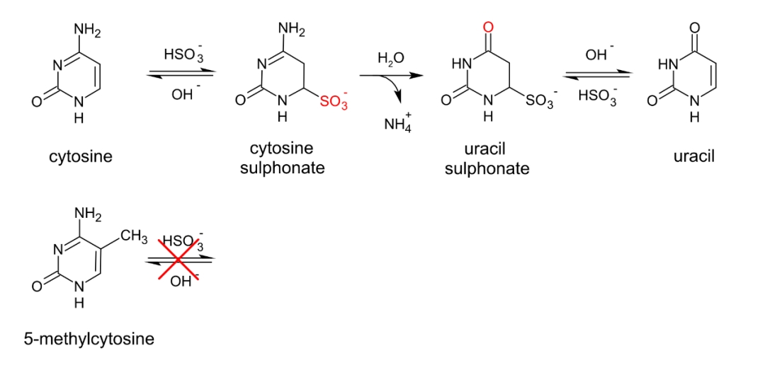 精品推荐 | 极速体验！Superfast-BS转化，半小时轻松搞定~