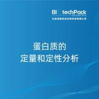 蛋白质的定量和定性分析