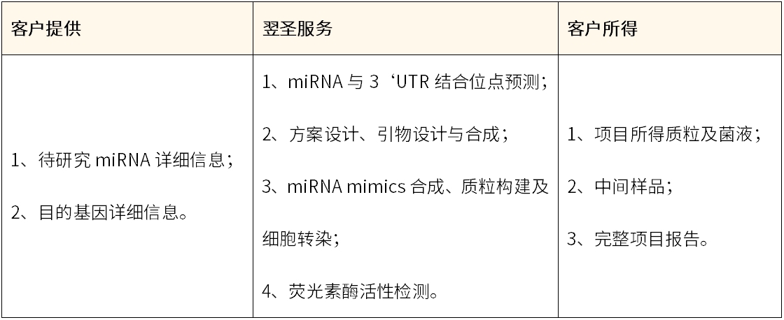 干货 | 双荧光素酶验证miRNA与靶基因3’UTR相互作用！