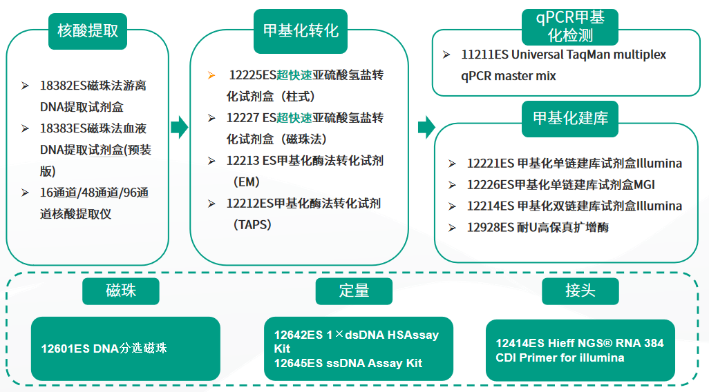 精品推荐 | 极速体验！Superfast-BS转化，半小时轻松搞定~