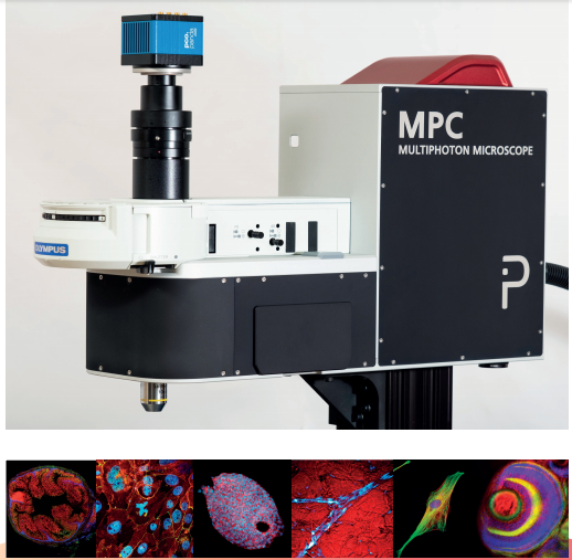 MPC多光子显微镜