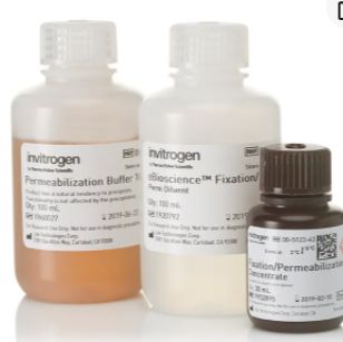 Foxp3/转录因子流式固定破膜缓冲液