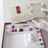 Melissococcus plutonius蜂房蜜蜂球菌（欧洲蜂幼虫腐臭病）探针法荧光定量PCR试剂盒