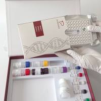 White Sturgeon Iridovirus(WSIV)高首鲟虹彩病毒探针法荧光定量PCR试剂盒