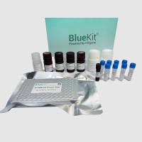 E.coli HCP ELISA检测试剂盒（2G）