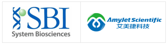 System Biosciences(SBI)/艾美捷外泌体从分离到功能研究的全套解决方案
