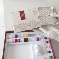 Madurella mycetomatis足马杜拉分枝菌探针法荧光定量PCR试剂盒