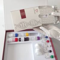 Necrotizing Hepatopancreatitis Bacterium（NHPB）肝胰腺坏死性细菌(虾肝胰腺坏死性细菌)探针法荧光定量PCR试剂盒