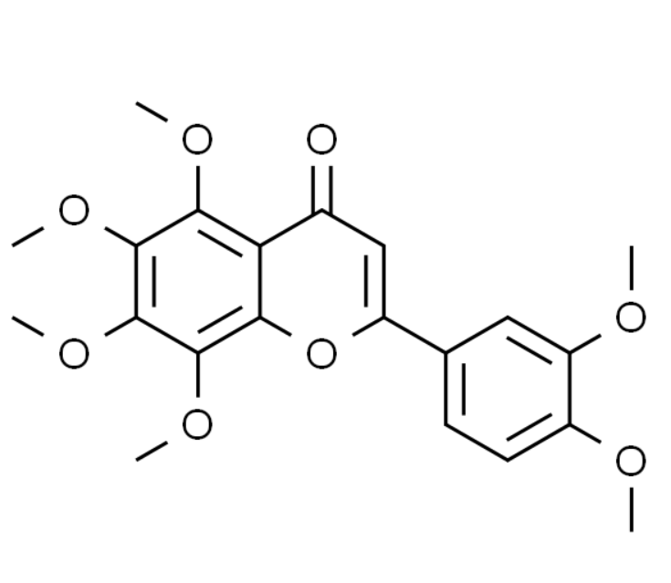 屏幕截图 2025-03-24 171326.png