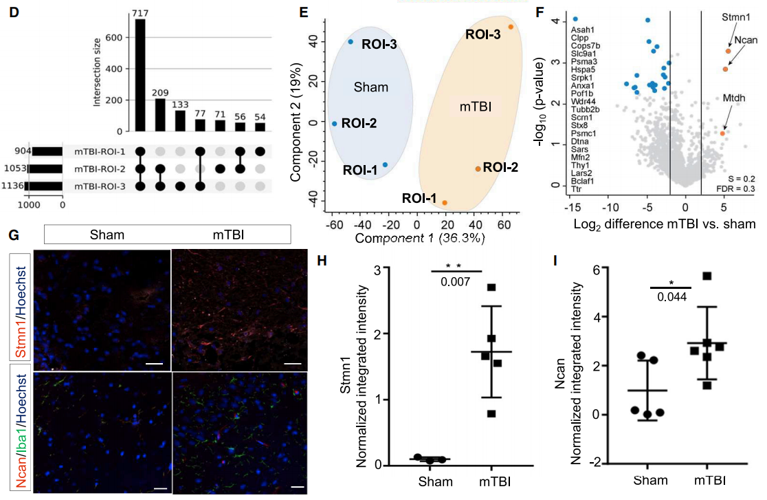 cell丨基于组织透明化技术的完整器官空间蛋白组学研究
