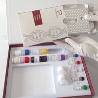 Aethina tumida蜂房小甲虫探针法荧光定量PCR试剂盒