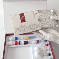 Mycobacterium microti田鼠分枝杆菌探针法荧光定量PCR试剂盒