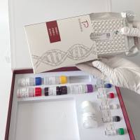 Chicken Infectious Anemia Virus(CIAV)鸡传染性贫血病毒探针法荧光定量PCR试剂盒