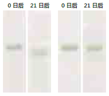 1214604486363691.png blob.png