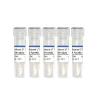 防污染探针法qPCR试剂：2× Robust U+ Probe qPCR ProMix