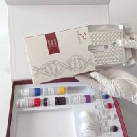 Trichuris suis猪鞭虫探针法荧光定量PCR试剂盒