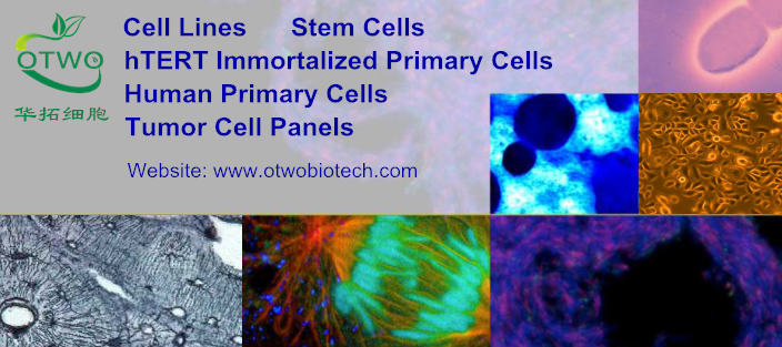Hacat人永生化角质形成细胞|Hacat细胞|人角质形成细