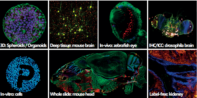 MPC多光子显微镜