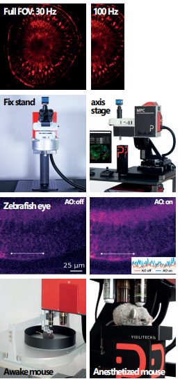 MPC多光子显微镜